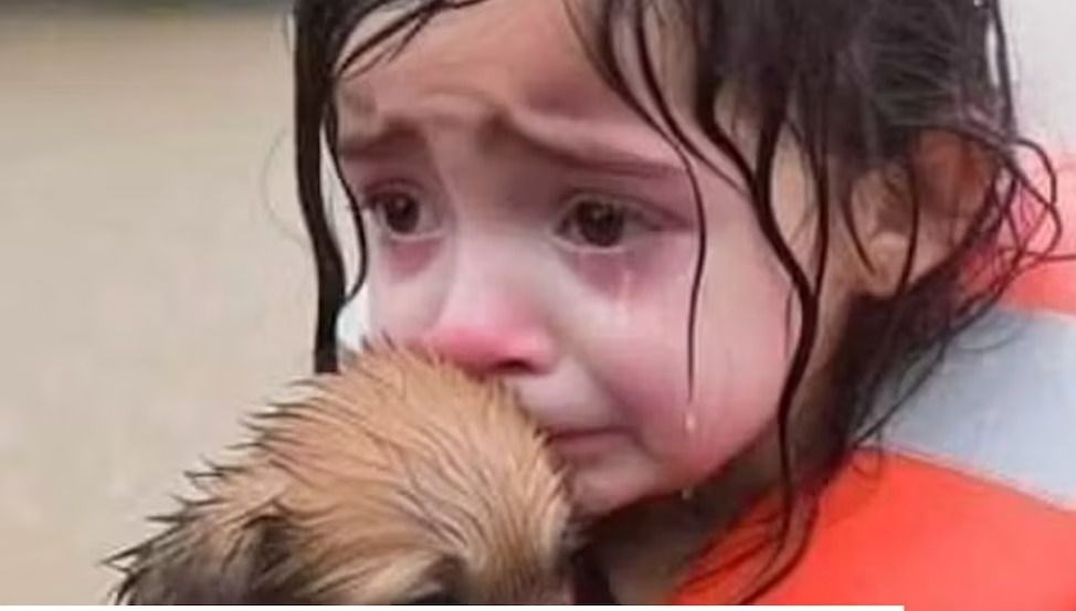 interneti dolduran yeni tehlike ai slop nedir 6YUZVNr5