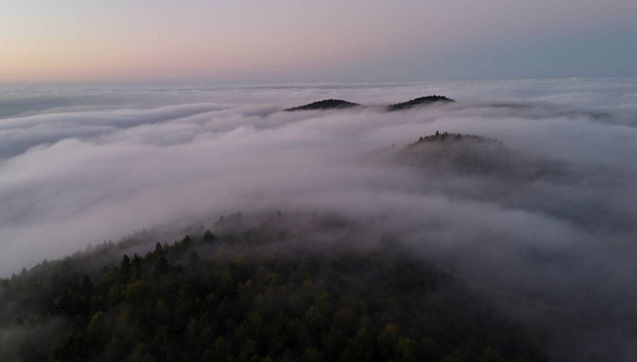 samsunda 1000 rakimli mahallede sis denizi Z2923wK5