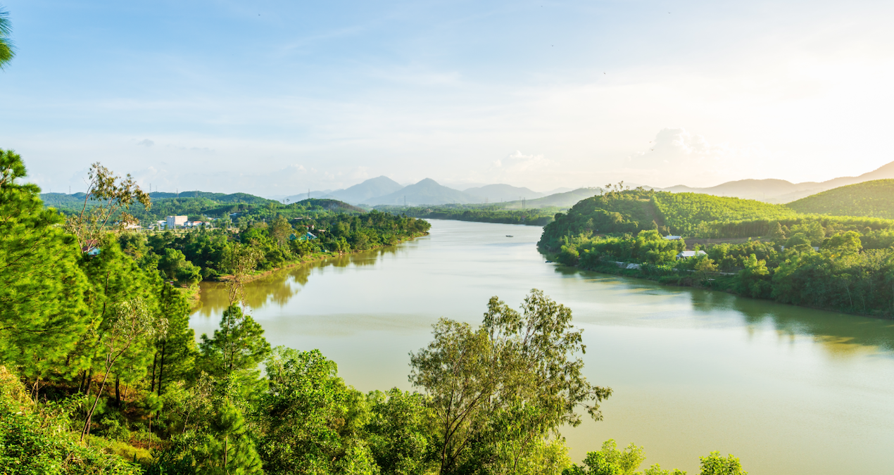sirf bu nehrin kokusu icin binlerce kilometre yol gidiyorlar iste nedeni FcWGIHnZ