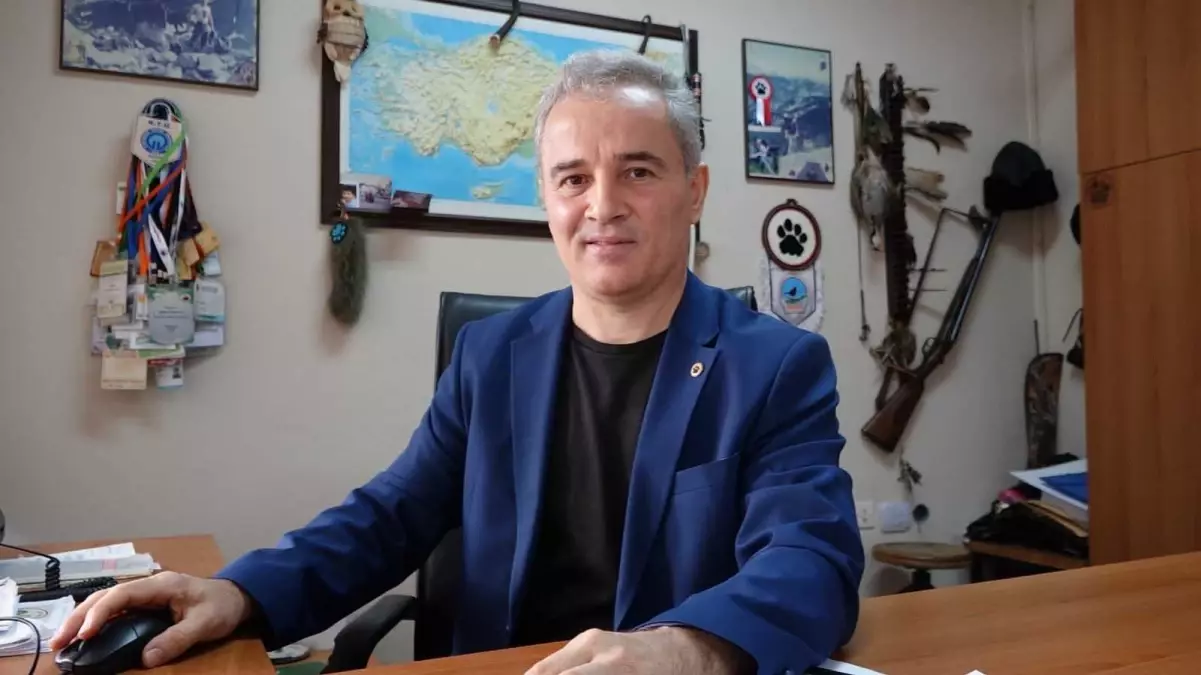 ayi populasyonu 5 kat artarak tehlike olusturuyor AXkLGO5x