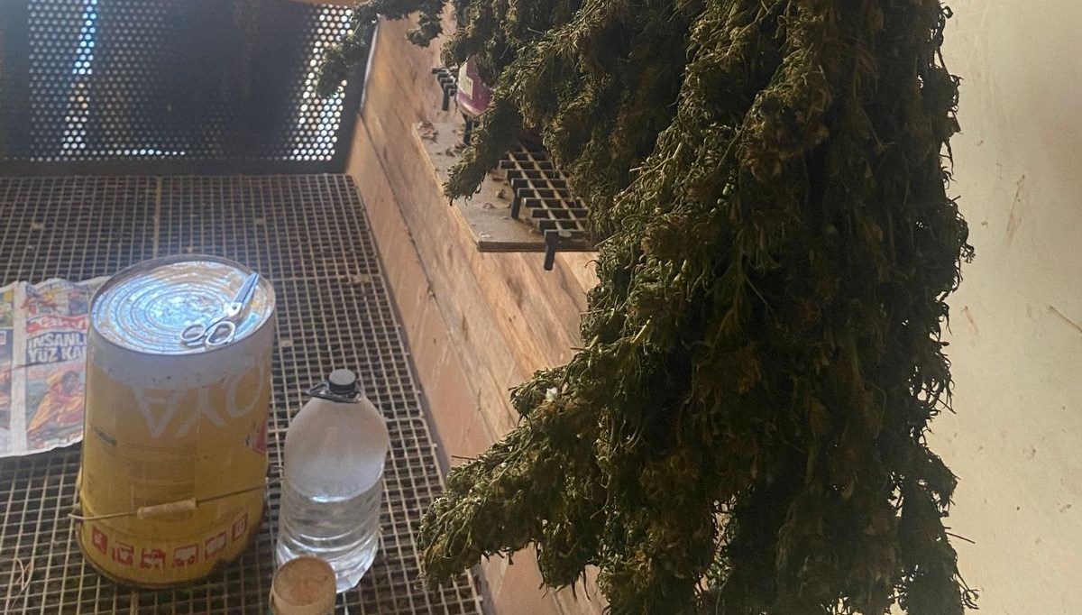 bursada guvercin kumesine gizlenmis uyusturucubulundu BaQQ1SZa