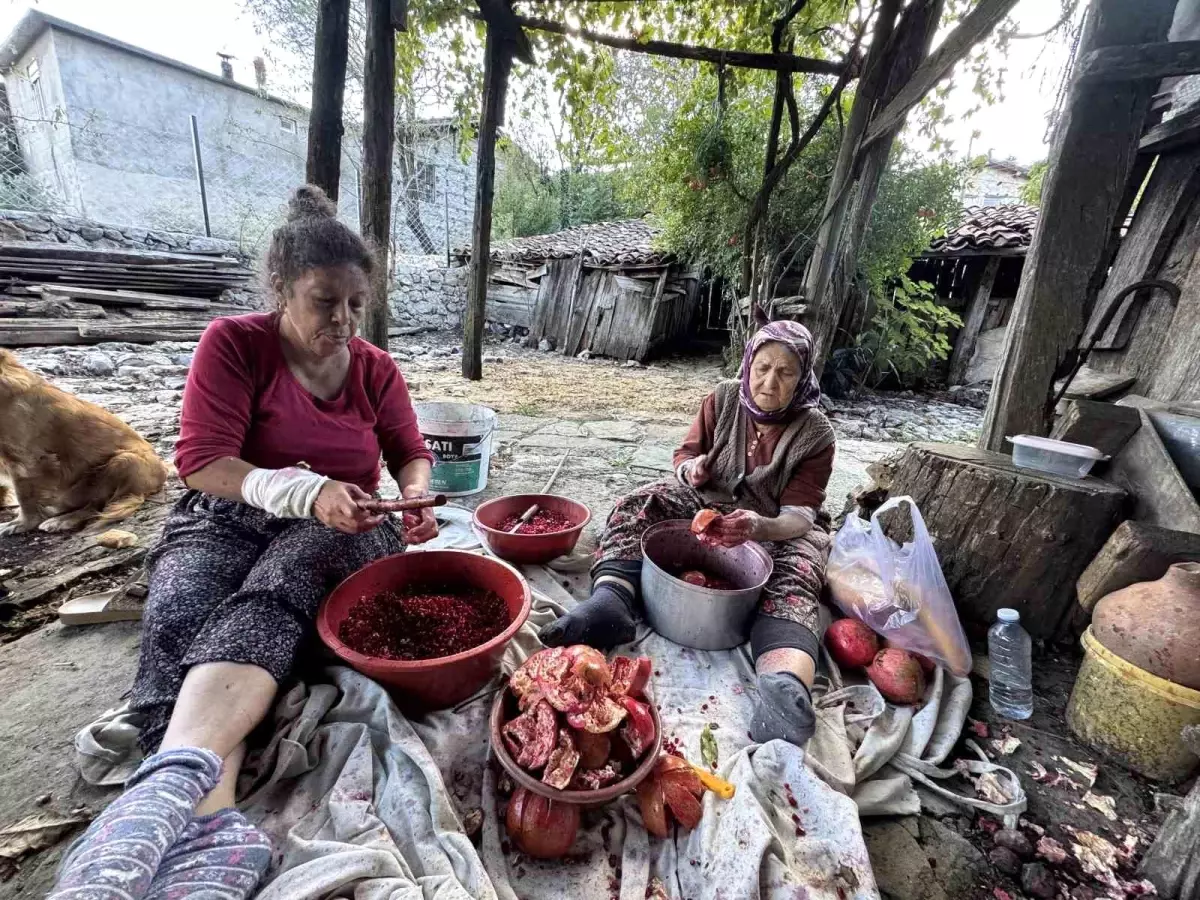 kadinlar aksekide nar eksisi uretiyor cahytWdX.jpg