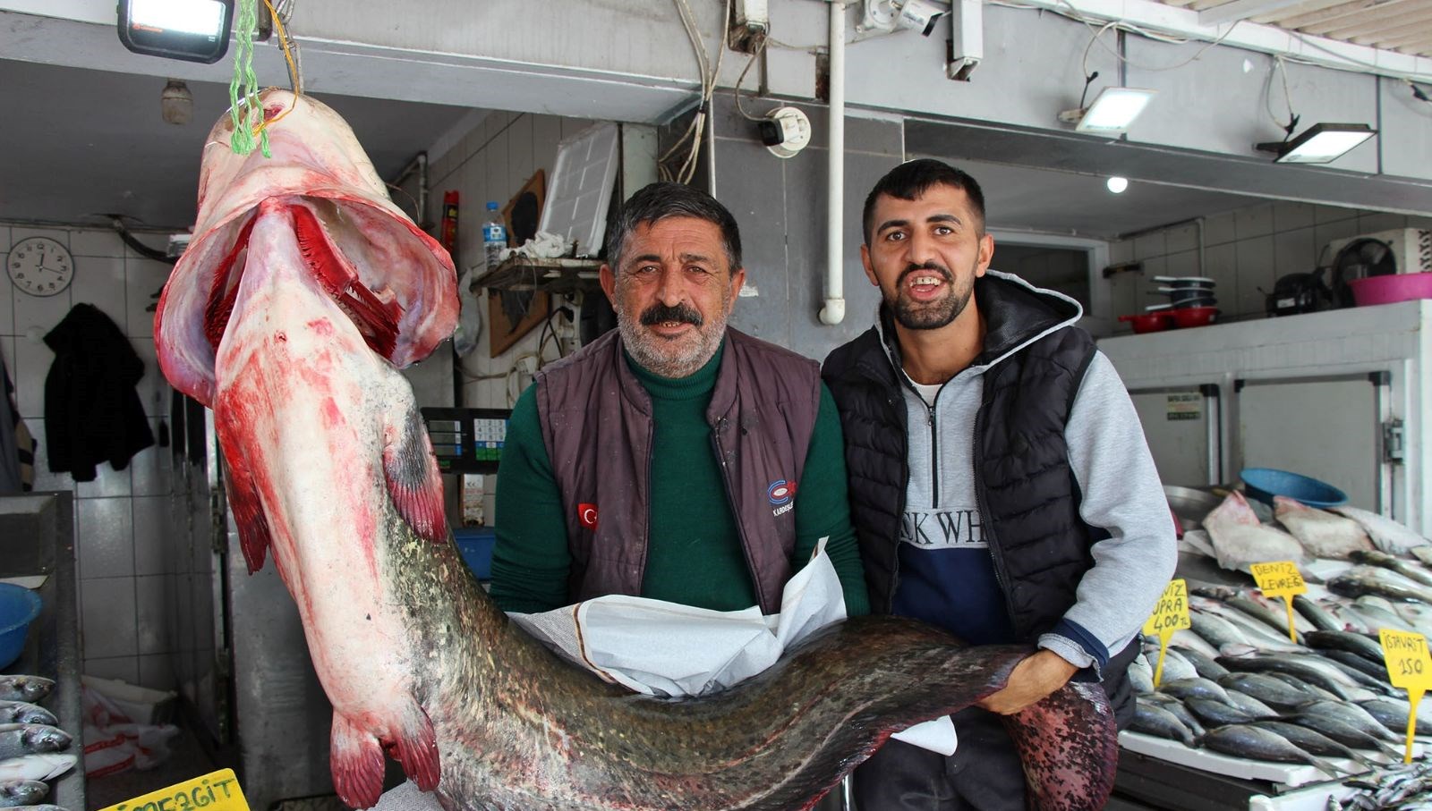 kilosu 250 liradan satisa sunuldu tam 85 kilogram agirliginda VCp7HrNe