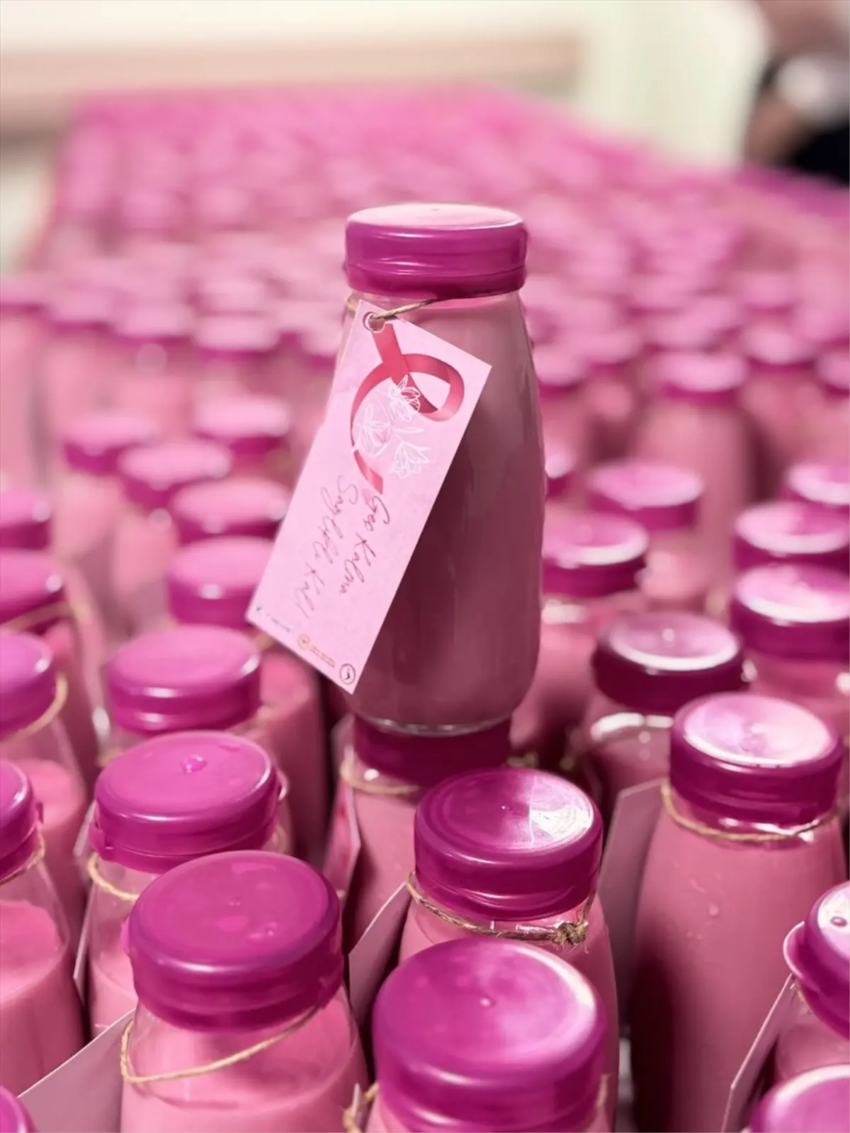 meme kanseri farkindalik etkinligiyle saglikli beslenmenin onemi vurgulandi p3bYqrTv