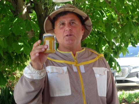 Haber gorseli