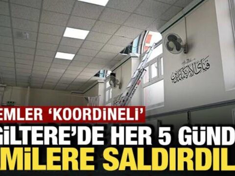 Haber gorseli