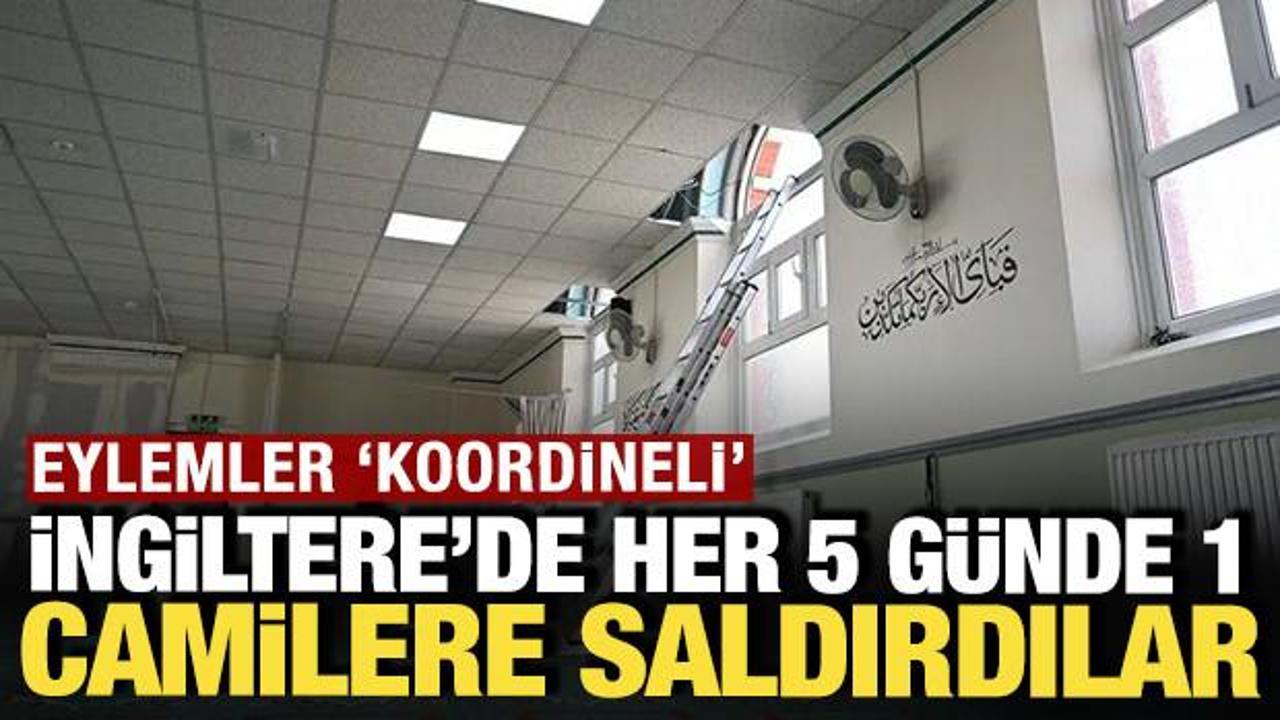 Haber gorseli
