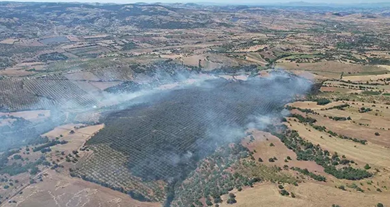 Kula’da orman yangınında 15 hektar alan zarar gördü