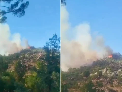 Muglada orman yangini ekipler mudahale ediyor 17J4QyTq